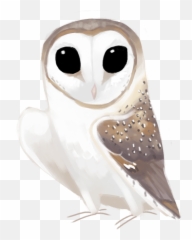 Download Eastern Barn Owl Tyto - Barn Owl Png,Barn Owl Png