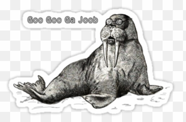 I Am The Walrus - California Sea Lion Png,Walrus Png