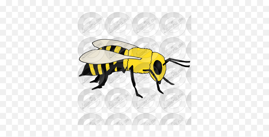 Bee Picture For Classroom Therapy Use - Great Bee Clipart Illustration Png,Bee Clipart Png