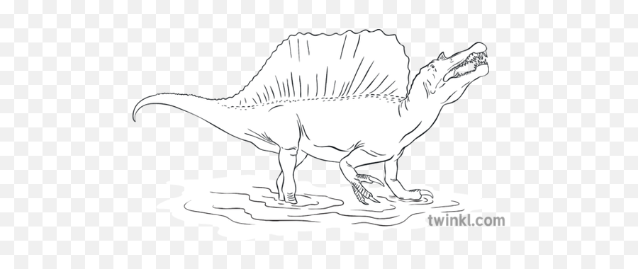 Spinosaurus Animal Dinosaur Nature Extinct Dinosaurs Whose - Theropods Png,Spinosaurus Png