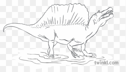 Spinosaurus Animal Dinosaur Nature Extinct Dinosaurs Whose - Theropods Png,Spinosaurus Png
