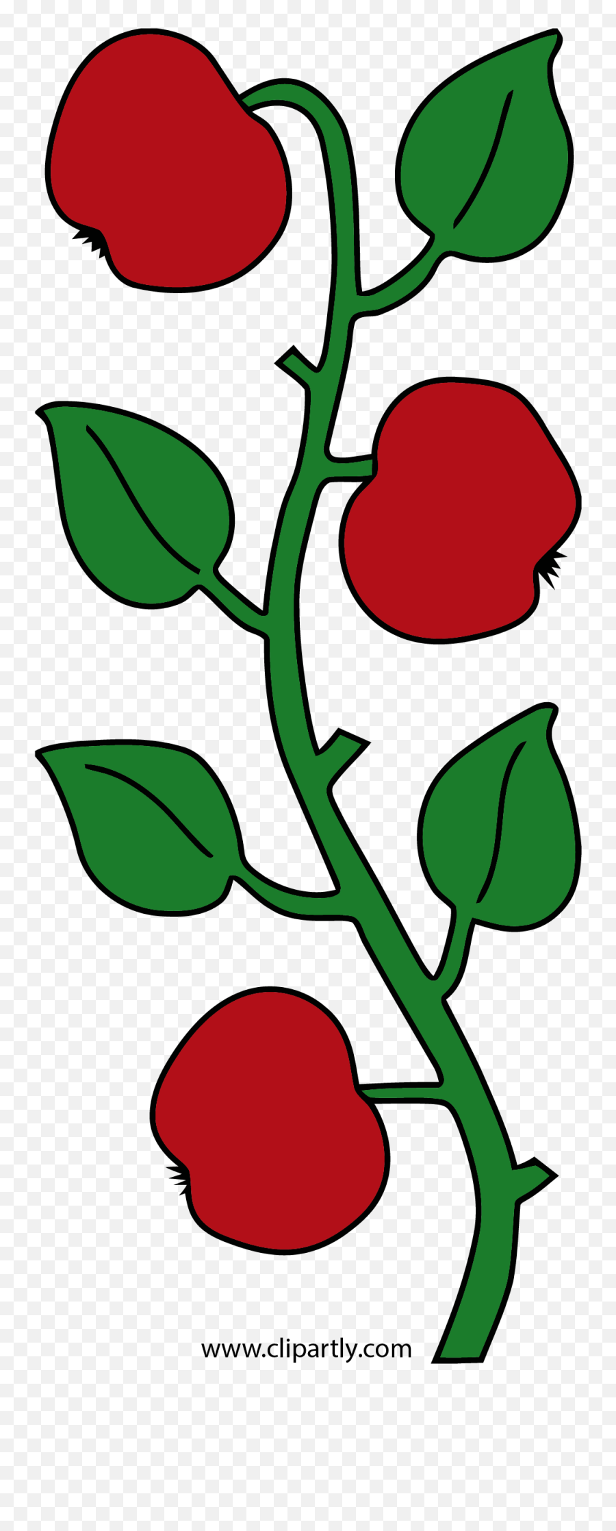 Apple Green Leaf Clipart Png - Apples With Branch Clipart,Leaf Clipart Png