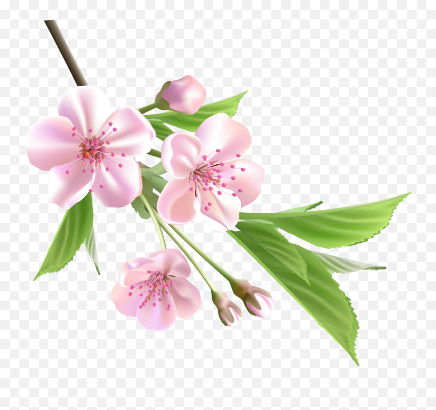 Japanese Cherry Blossom Png - Clip Art Library Pink Flowers Tree Transparent,Sakura Petal Png