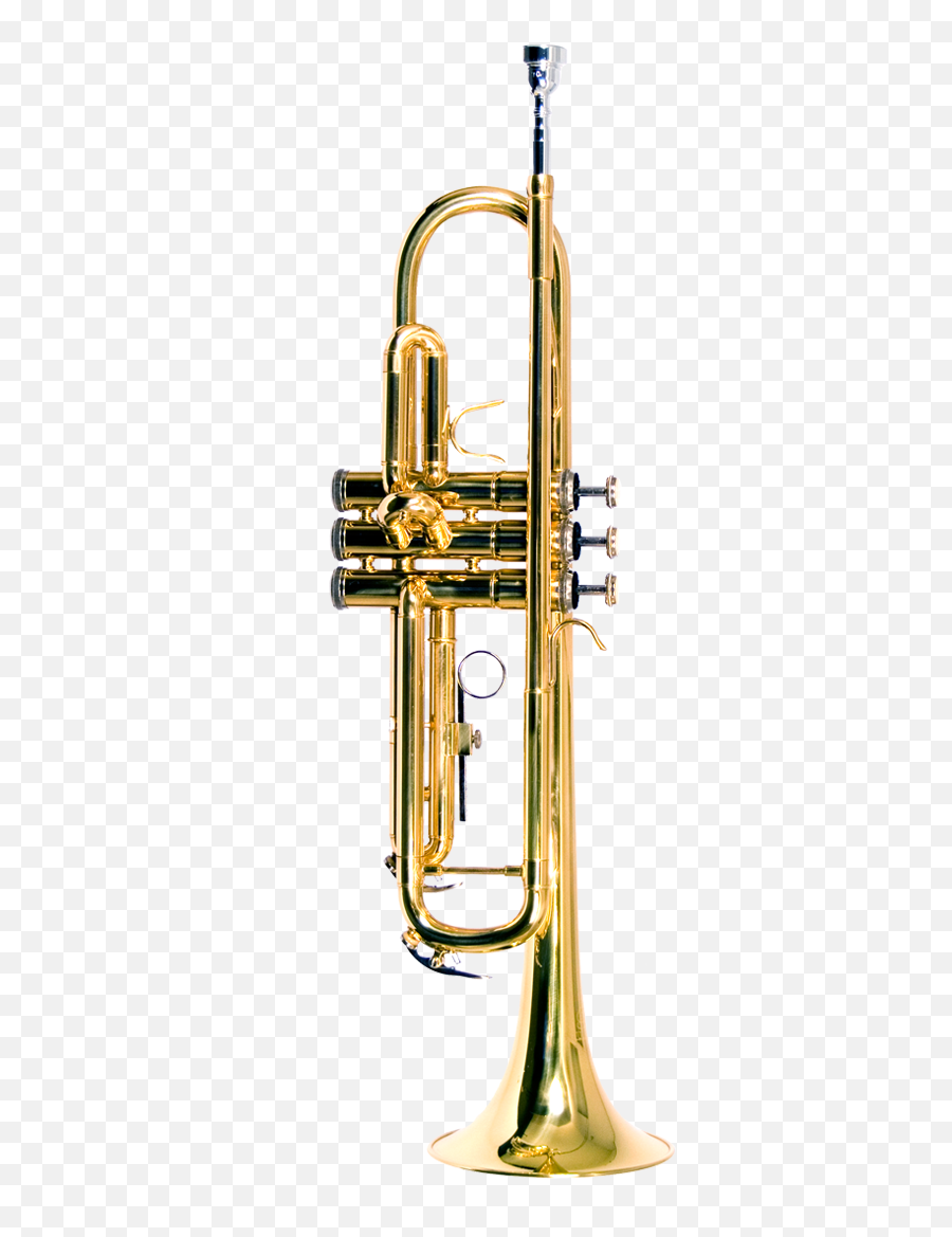 B - Usa Wtrlq Trumpet Lacquer Gold Color B Usa Trumpet Png,Trompeta Png