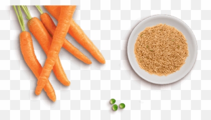 Freshpet Select Chunky Beef With Vegetables Dog Food - Baby Carrot png