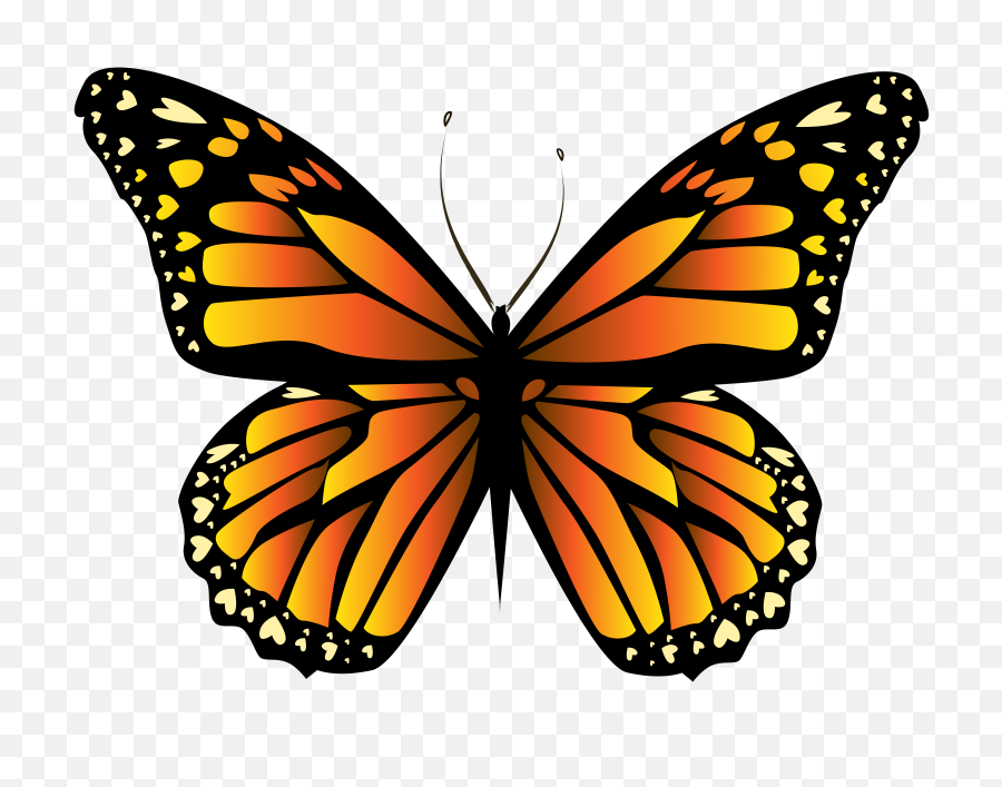 Orange Butterfly Clipart Png - Yellow Butterfly,Butterfly Transparent