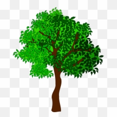 Free Png Tree Big