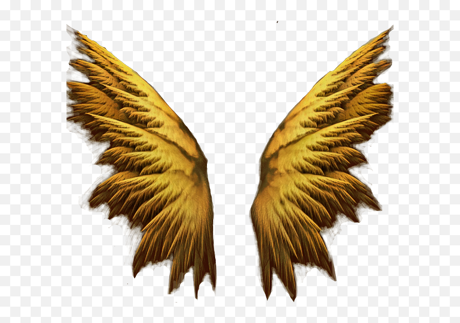 Hd Png Gold Wings