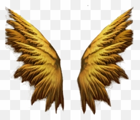 Hd Png Gold Wings