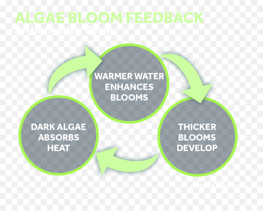 Climate Matters - Diagram Png,Algae Png