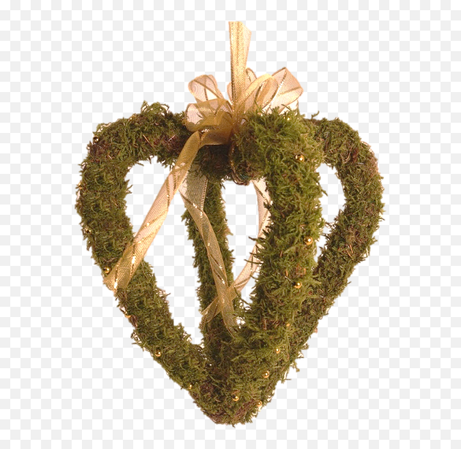 Hanging Moss Png - Wreath,Moss Png