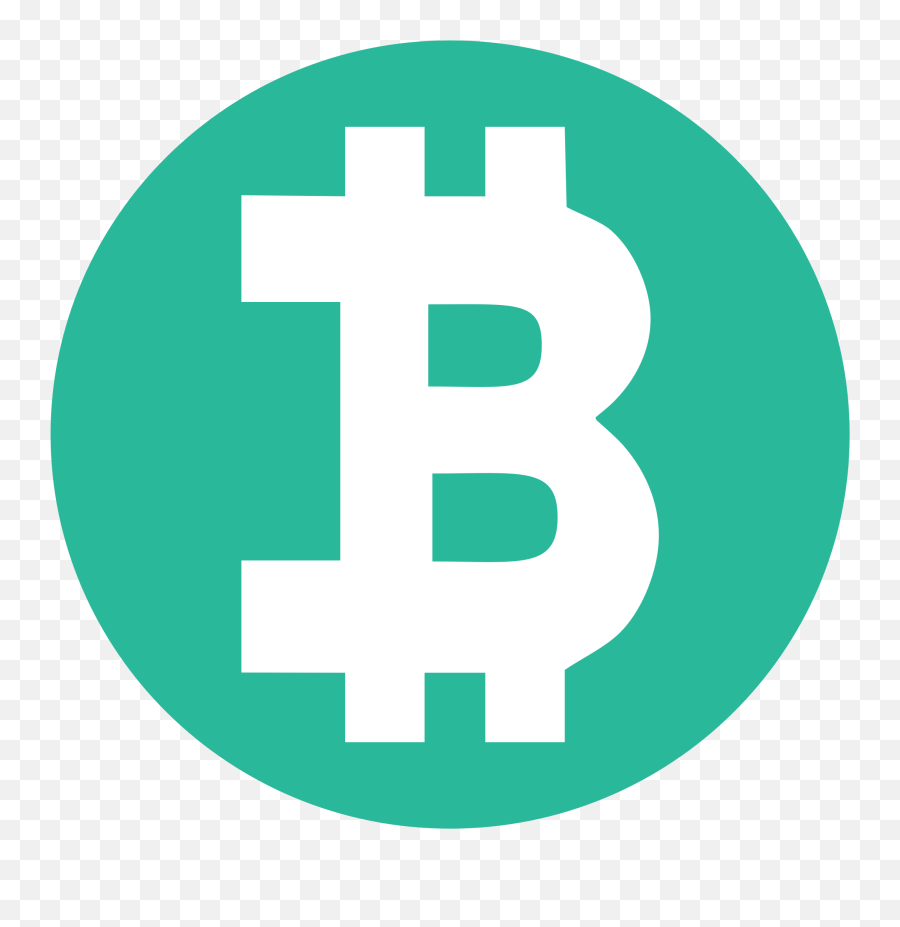 Bitcoin Logo Png - Portrait Of A Man,Bitcoin Logo Transparent