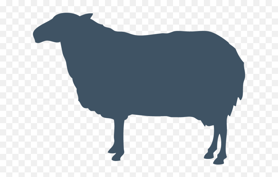Sheep Vector Graphics Goat Silhouette Royalty - Free Sheep Sheep Silhouette Png,Sheep Png