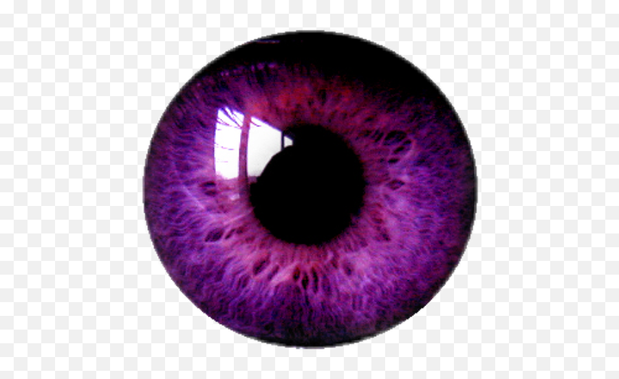 Purple Eye Lens Png Realistic
