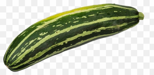 Zucchini - Zucchini Vs Courgette Png,Zucchini Png
