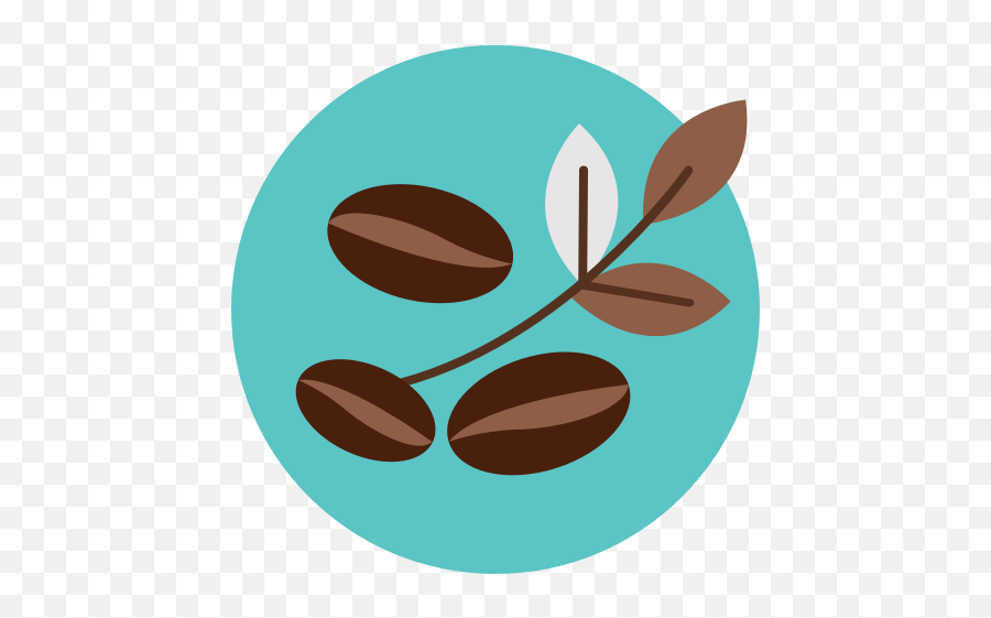 Bean Coffee Leaf Leave Icon - Hoja De Cafe Png,Leave Png