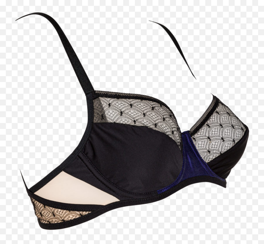 Underwired Blue Silk Bra Judith Lingerie Png