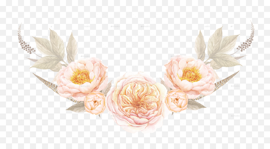Peonies Clipart Coral Peony Transparent Png