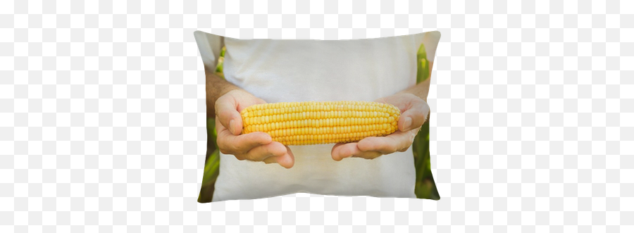 Farmer Holding Corn Maize Cob Pillow Cover U2022 Pixers - We Live To Change Cushion Png,Corn Cob Png