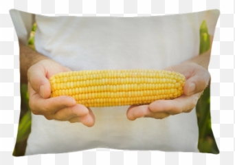 Farmer Holding Corn Maize Cob Pillow Cover U2022 Pixers - We Live To Change Cushion Png,Corn Cob Png