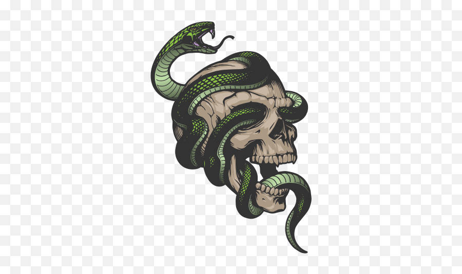 Snake Png Clipart - Snake And Skull Drawing,Snake Png