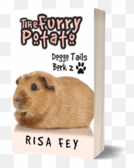 Doggo U2014 Risa Fey - Furry Potato Png,Doggo Png
