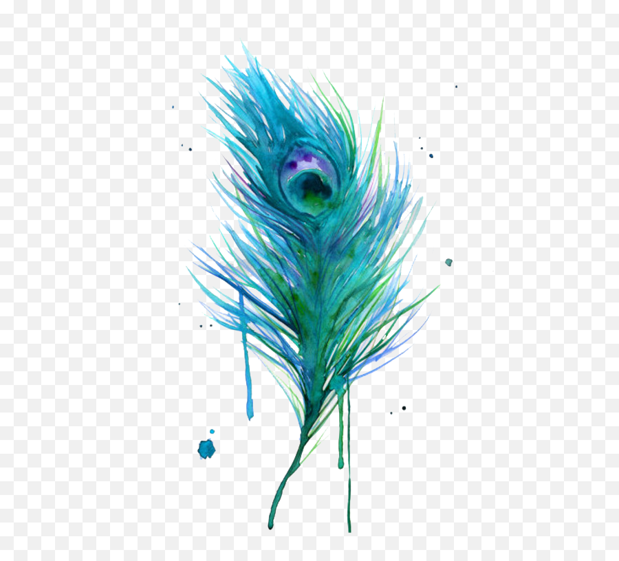 Asiatic Peafowl Feather Bird Clip Art - Water Color Tattoo Png,Peacock Feathers Png