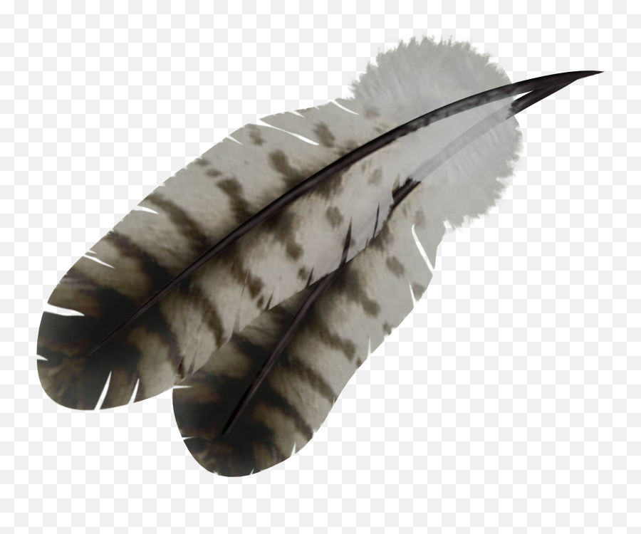 Black White Feathers Png Transparent - Native American Feather Transparent Background,Black Feather Png