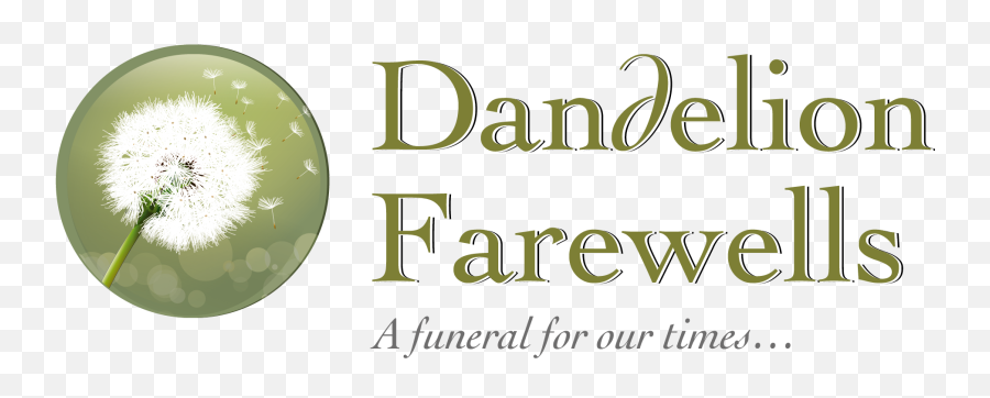 Whatu0027s In A Name U2013 Why U0027dandelion Farewellsu0027 - Dandelion Graphic Design Png,Dandelion Transparent
