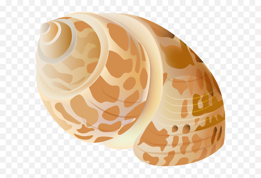 Seashell Transparent Picture Png Image - Transparent Background Free Sea Shell Clip Art,Seashell Transparent