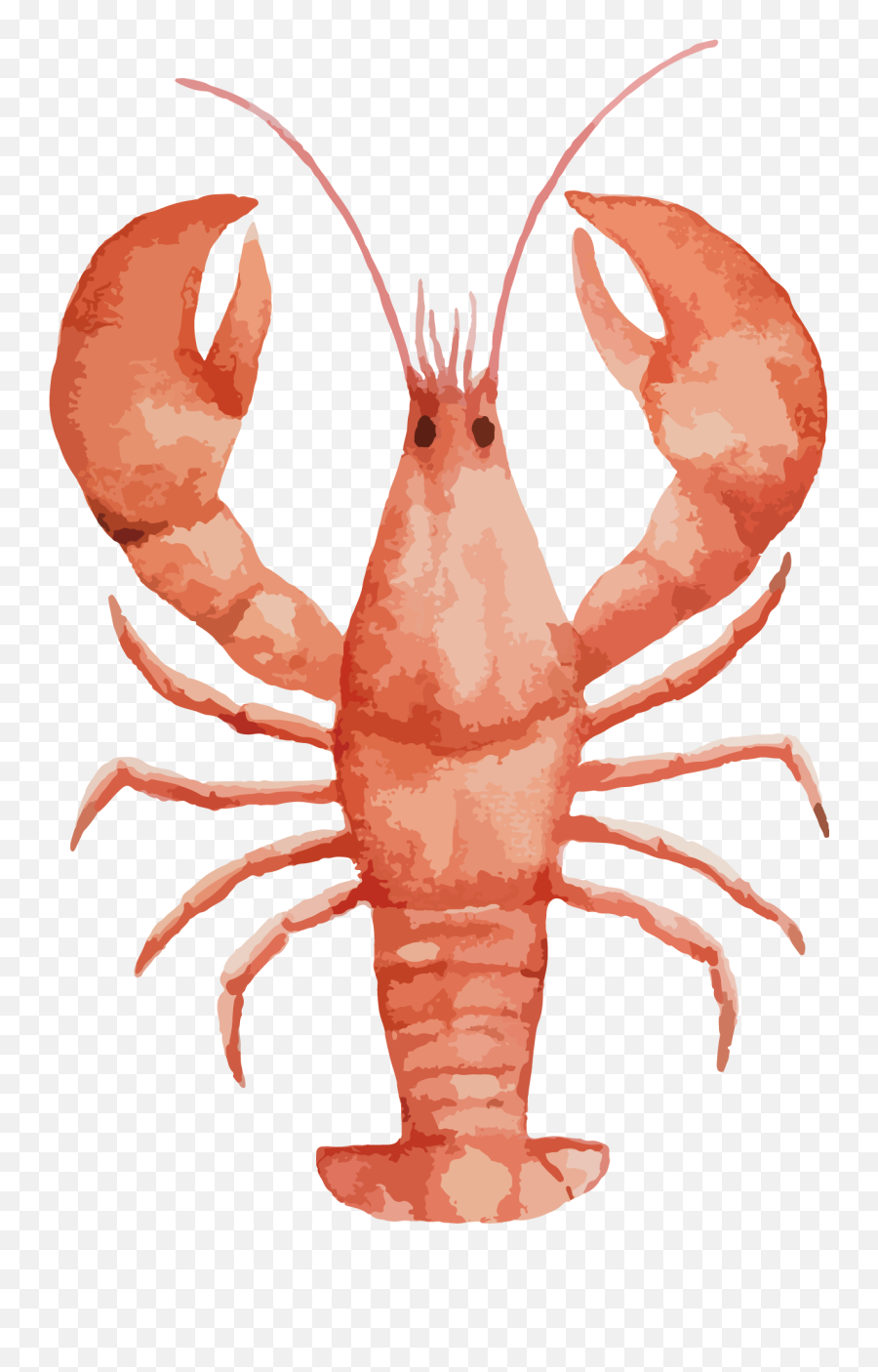 Lobster Watercolor Painting Seafood Painted Large Transprent - Lobsters Mate For Life Friends Png,Crawfish Png