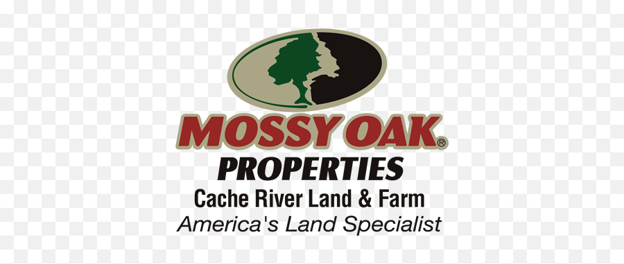 Glenn Dillard Real Estate Agent In Ar Mossy Oak Properties - Mossy Oak Properties Mozark Realty Png,Harding University Logo