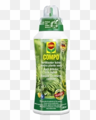 Hanging Plants How Grow Transparent PNG