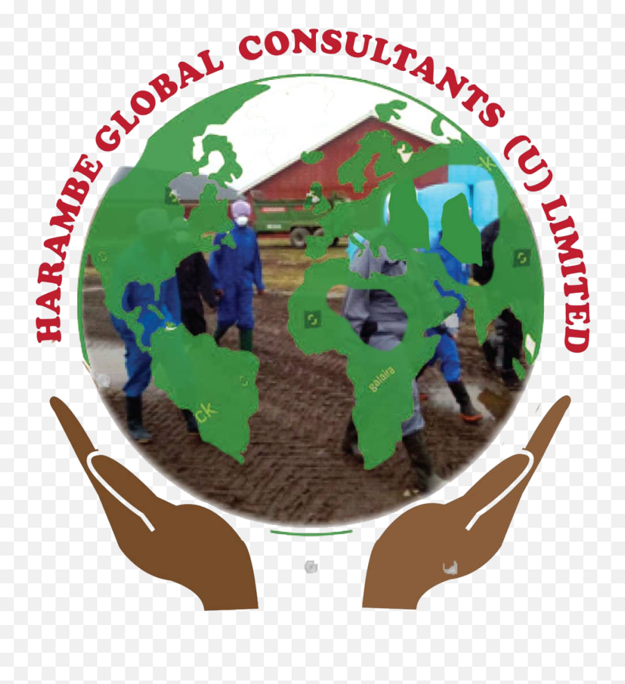 Home - Harambe Global Consultants U Ltd Illustration Png,Transparent Harambe