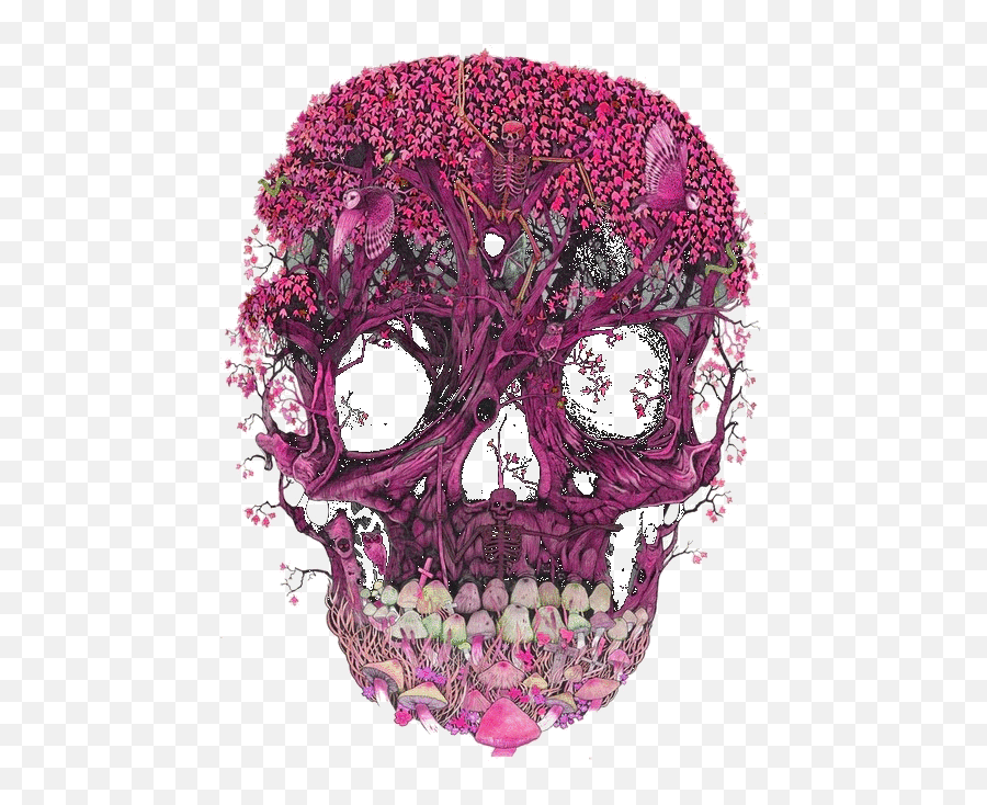 Lovely - Transparent Floral Skull Png,Skulls Transparent
