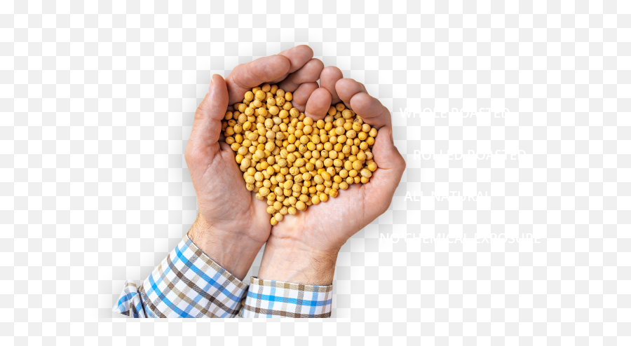 Man Cupping Hands Together Filled With - Superfood Png,Cupped Hands Png