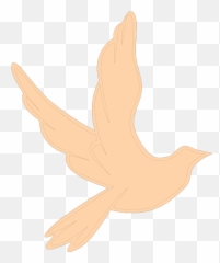 Flying Dove 1 Clip Art - vector clip art online Lovely png