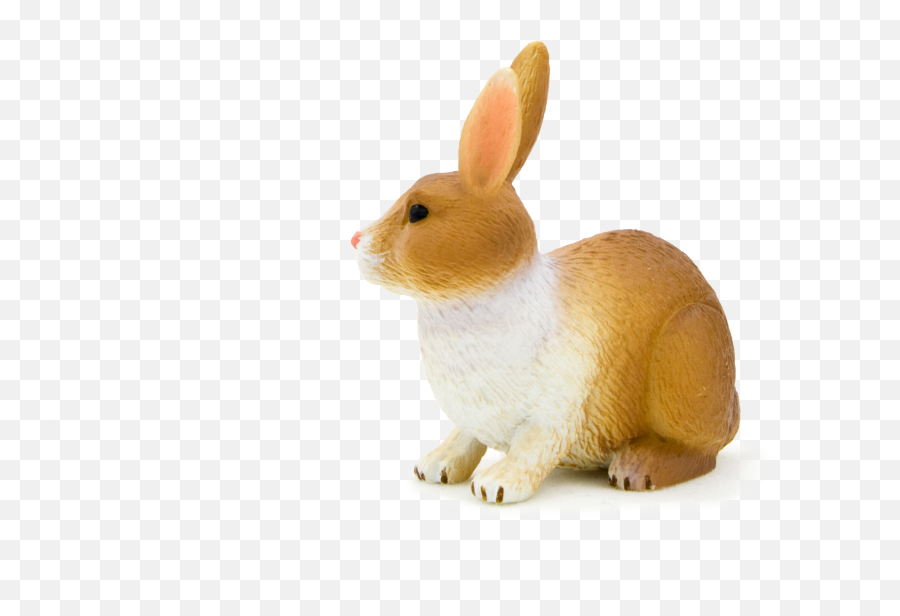 Animal Planet - Rabbit Brown And White Full Size Png,Animal Planet Logo Png