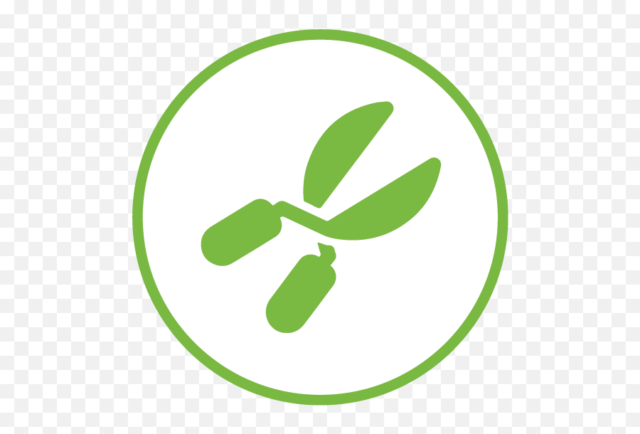 Planting Tips And Tree Health Consumers Energy - Dot Png,Invasive Plant Icon
