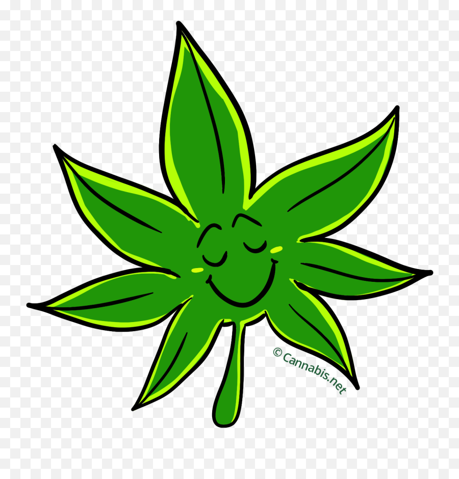 Marijuana Clipart Tropical Plant - Clip Art Png,Marijuana Plant Png