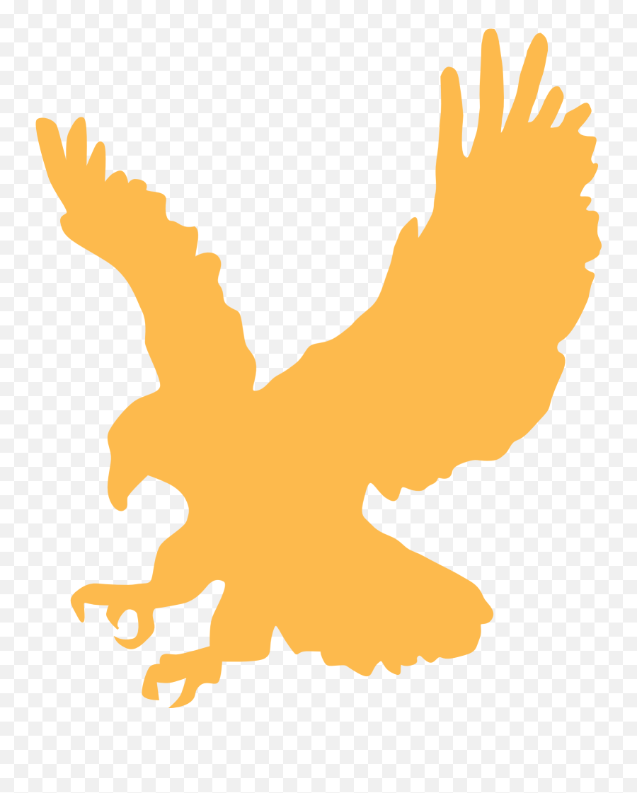 Eagle Gold Wings Animal Landing Png