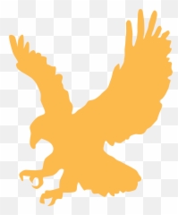 Eagle Gold Wings Animal Landing Png