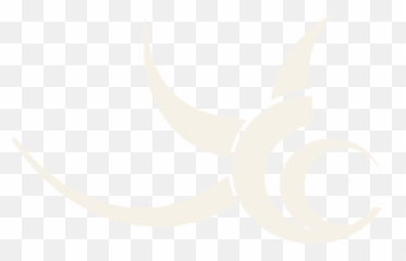 Centurion Tours - Cape Town Airport Shuttle And Point To Dot Png,Ff14 Black Mage Icon