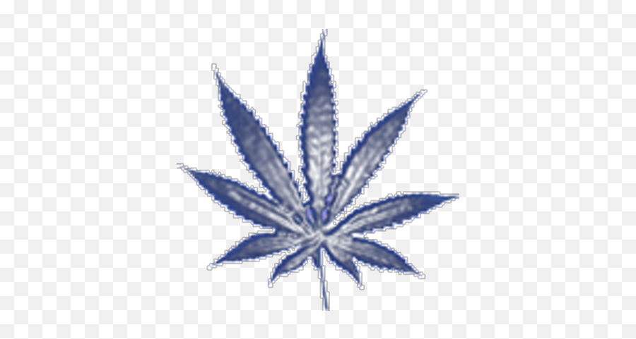Cannabis Kreations Canabiskreation Twitter - Transparent Transparent Background Weed Leaf Png,Cannabis Leaf Png