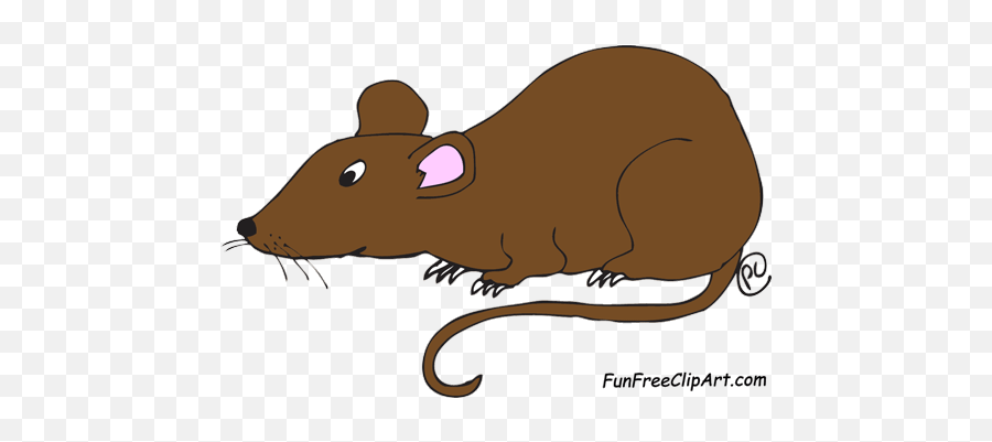 Rat Clipart Kid - Clipartingcom Clipart Of Rat Png,Rats Png