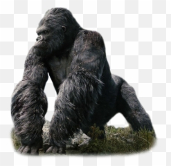 Download Kong - Transparent King Kong Png,Kong Png