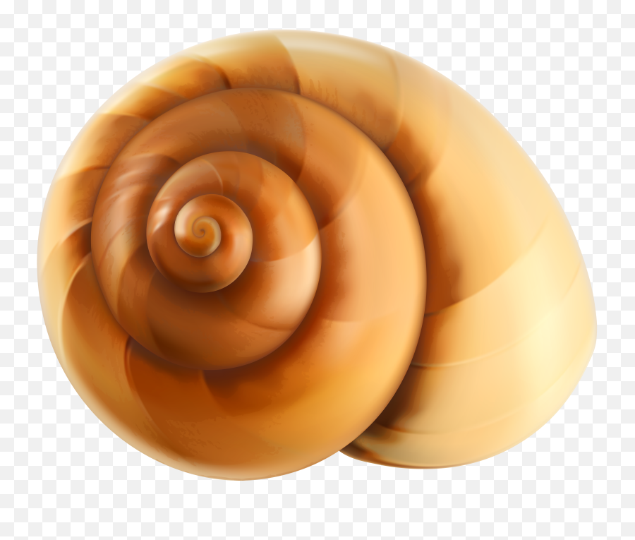 Download Snail Shell Png Image With