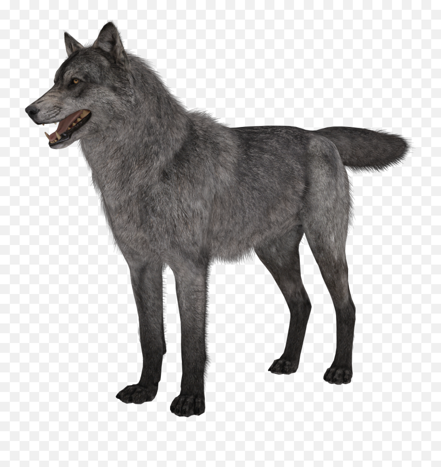 Call Of Duty Ghosts Riley Png - Call Of Duty Ghosts Wolves,Wolves Png