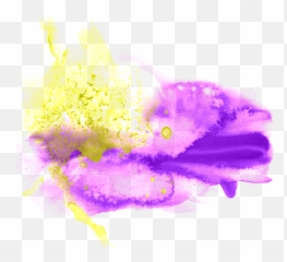 1 0023 Splash Picture By Kia31 - Color Png Full Purple And Green