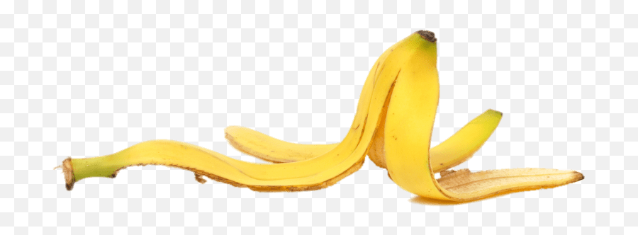 Download Free Png Banana Peel End Up - Banana Peel Png,Banana Transparent